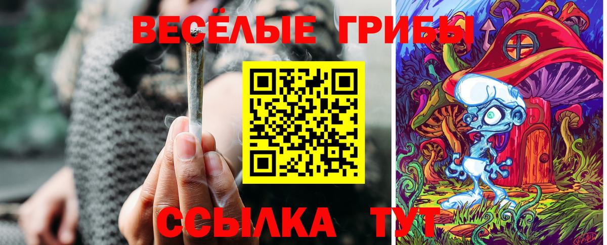 ГЕРОИН  ГАШ  Alpha PVP СК кристаллы  Свободный  Метамфетамин  ГАШ  Кокаин  Вход с VPN  COCAIN  МАРИХУАНА  LSD-25  Наркошоп  МЕФ  