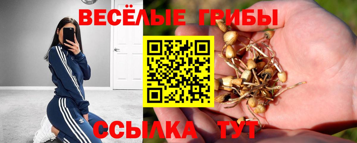 Псилоцибиновые грибы мицелий  Вход с VPN  Псилоцибиновые грибы MAGIC MUSHROOMS  Свободный 
