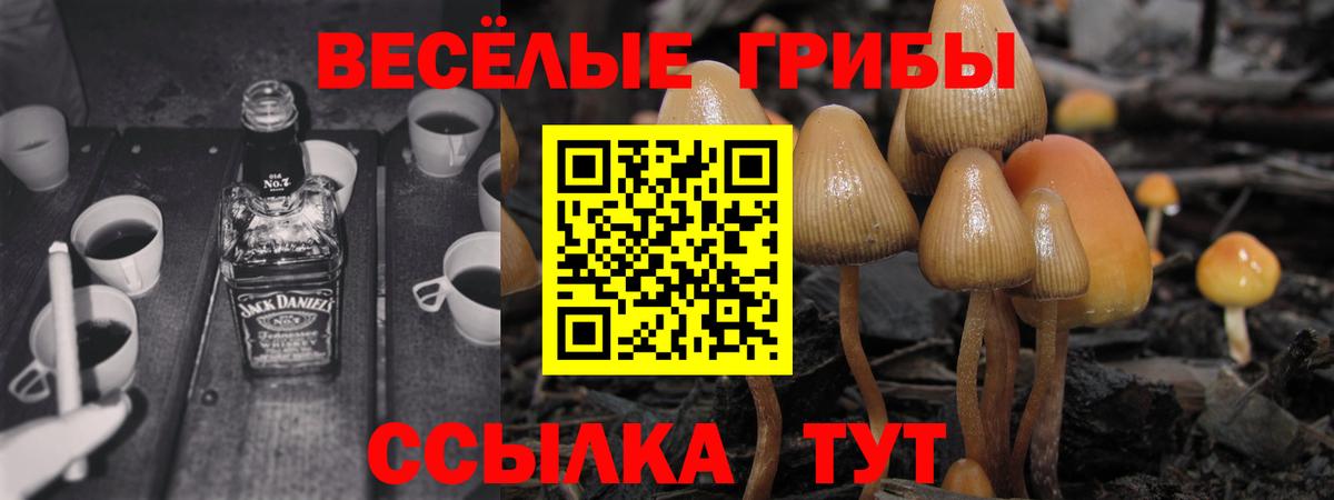 Галлюциногенные грибы мицелий Свободный